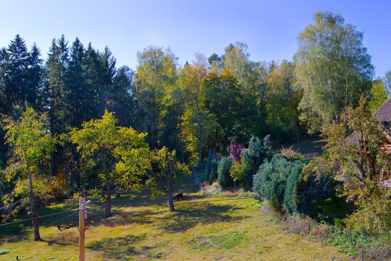 Pension Haus Fuerstenberg Beierfeld Eksteriør bilde